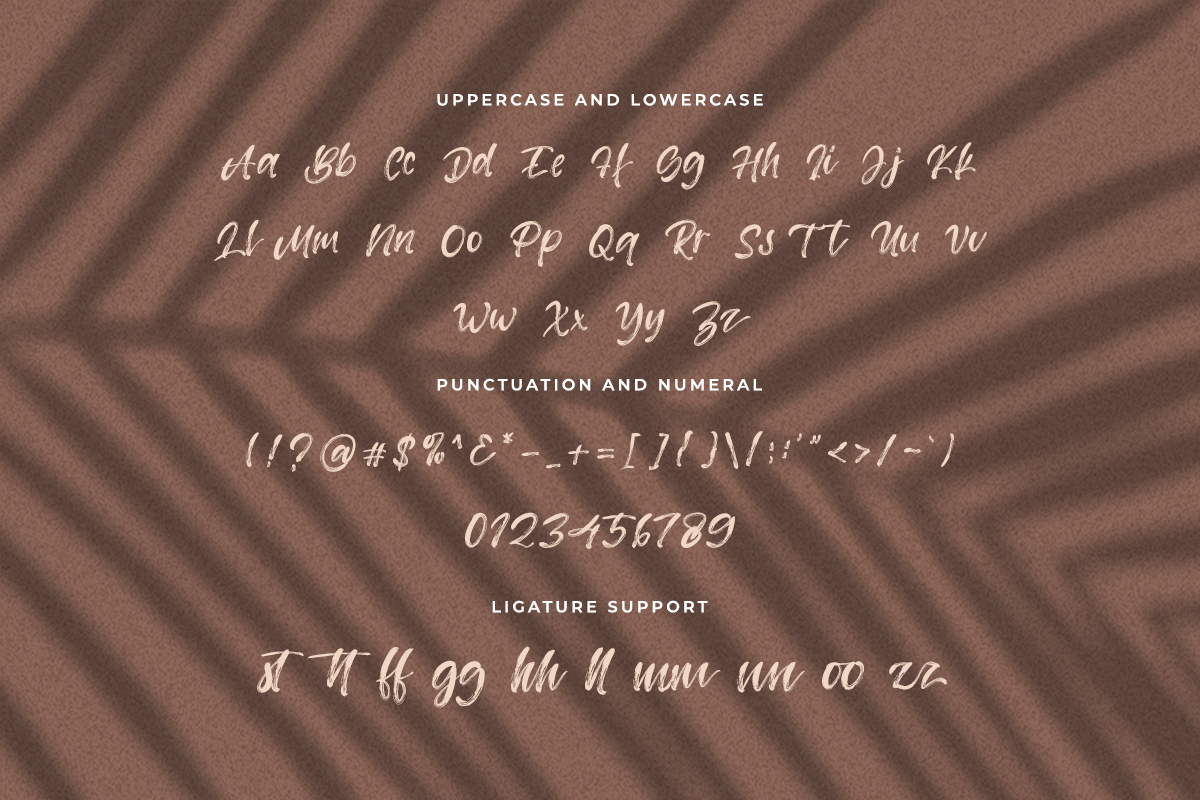 Daffina Handwritten Brush Font - Image 6