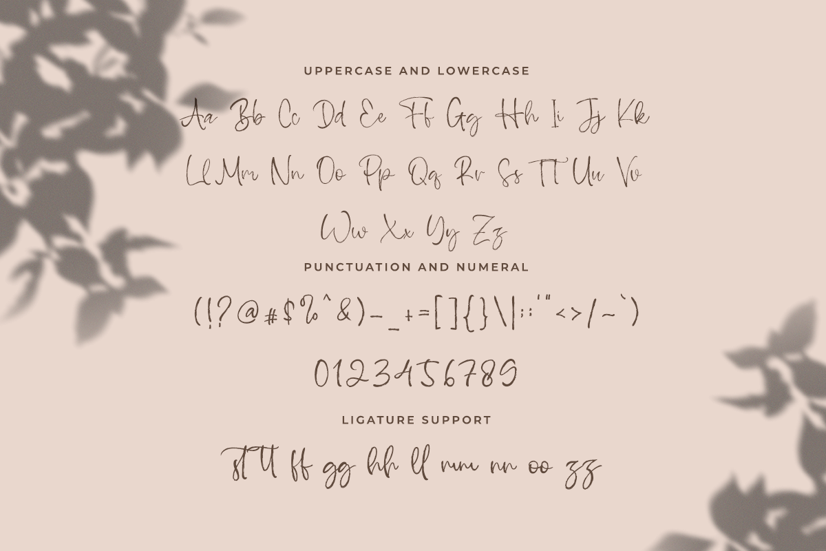 Flanella Handwritten Brush Font - Image 6
