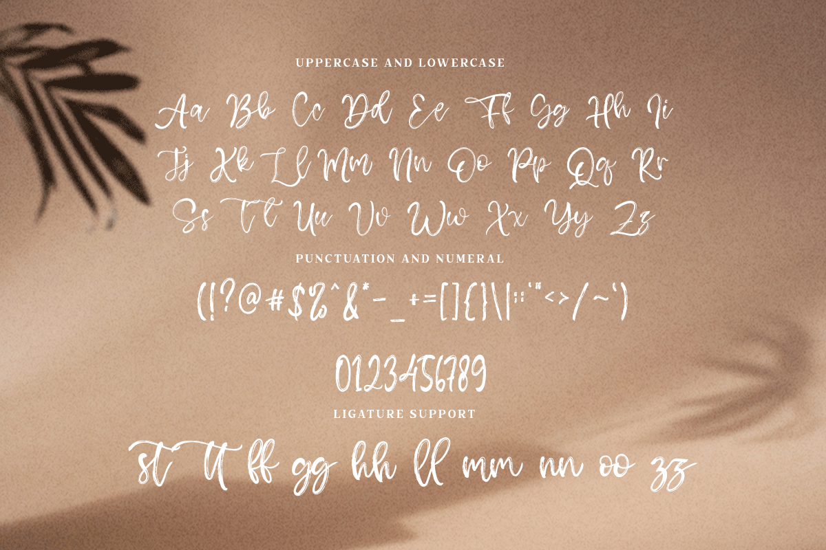 Fabiolla Handwritten Brush Font - Image 6