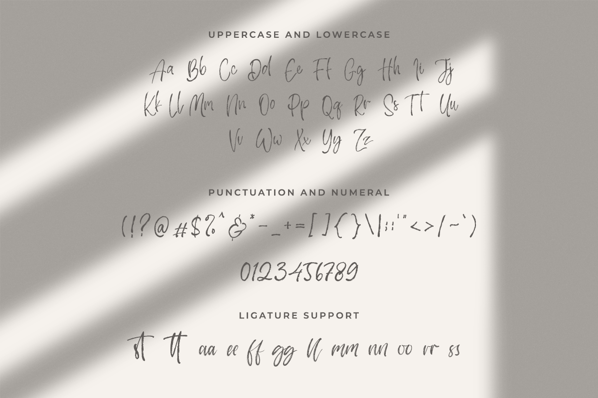 Daniesta Handwritten Brush Font - Image 6