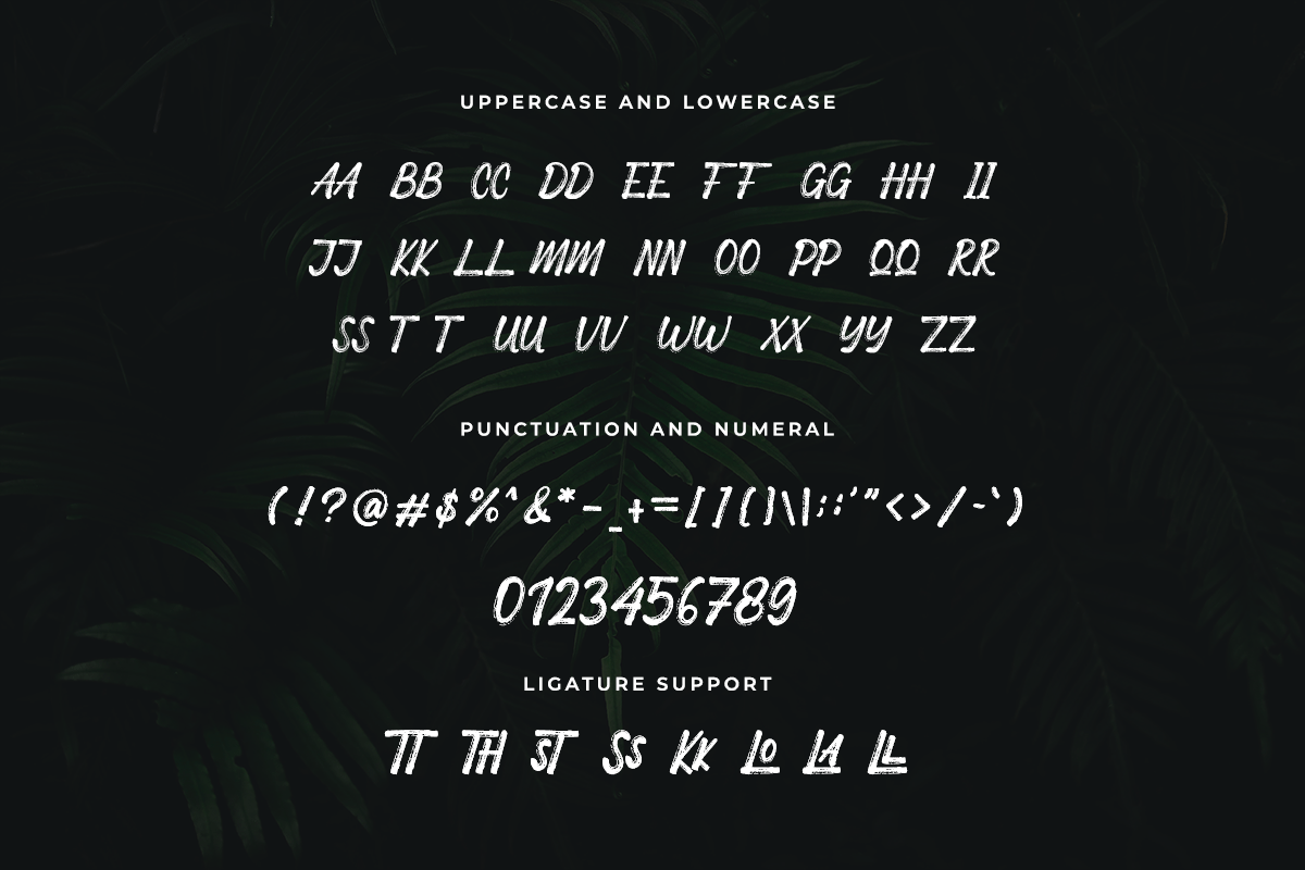 Gialova Brush Font - Image 6