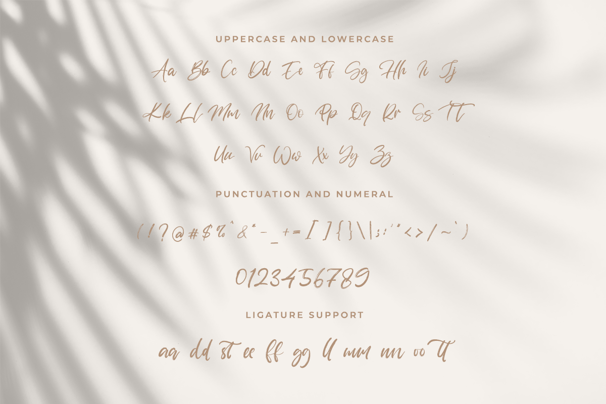 Hanista Handwritten Brush Font - Image 6