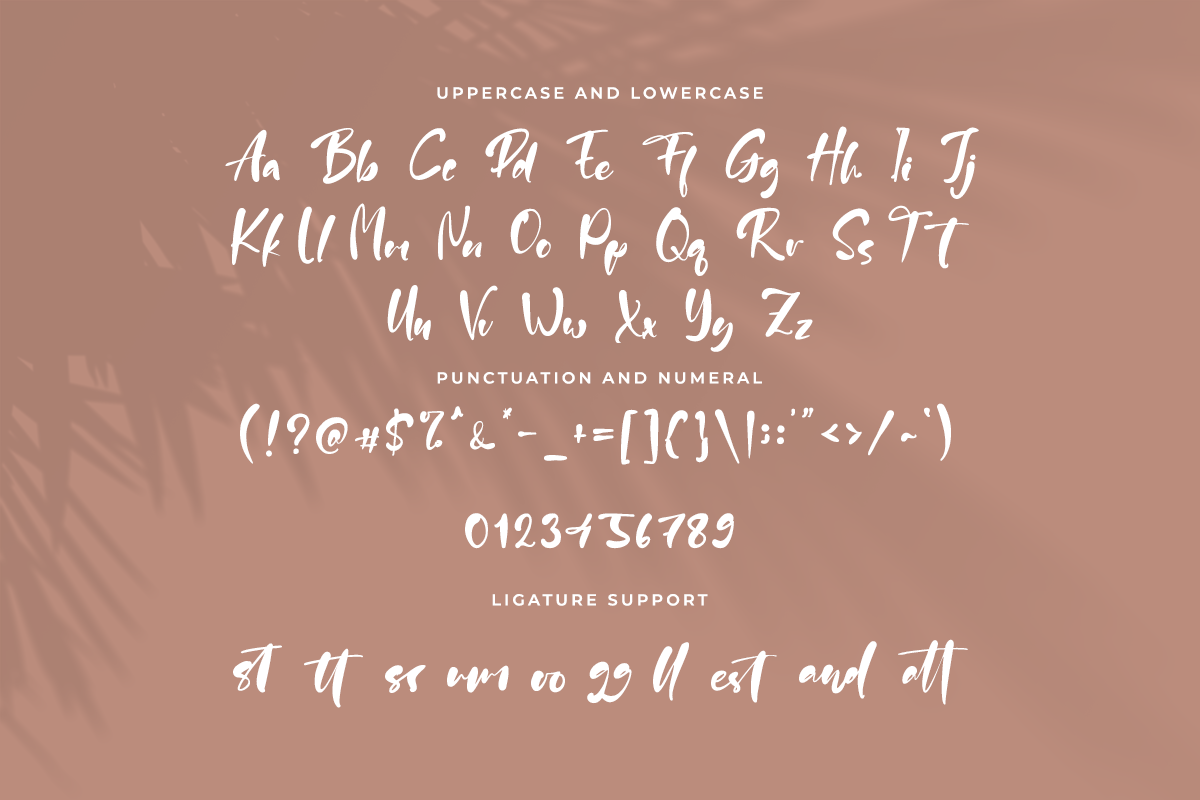 Cambridge Classy Handwritten Font - Image 7