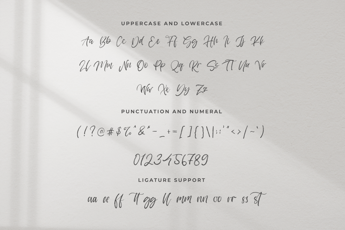 Farresta Handwritten Brush Font - Image 6
