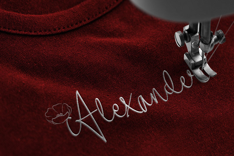 Alexandry Embroidery Script Font