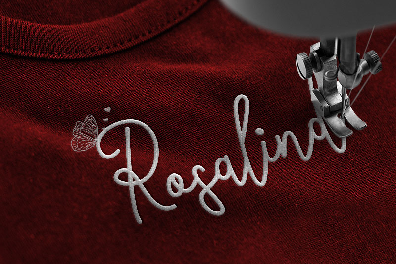 Michigan Embroidery Script Font