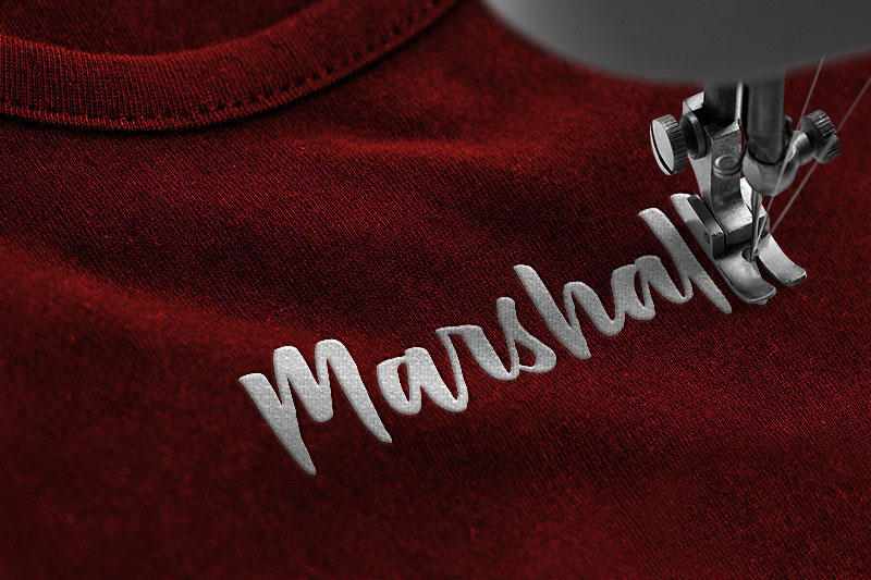 Passifille Embroidery Script Font