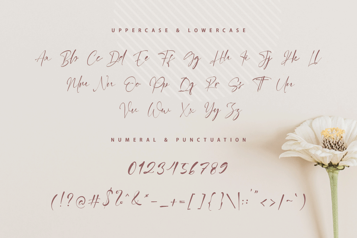Sanchest Signature Font - Image 7