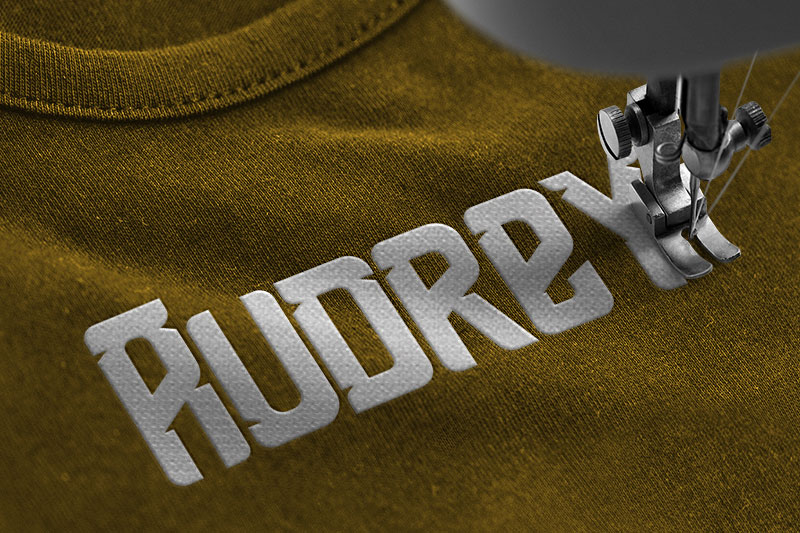 Shean Holmes Embroidery Display Font