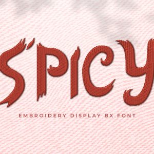 Spicy Embroidery Kids Font
