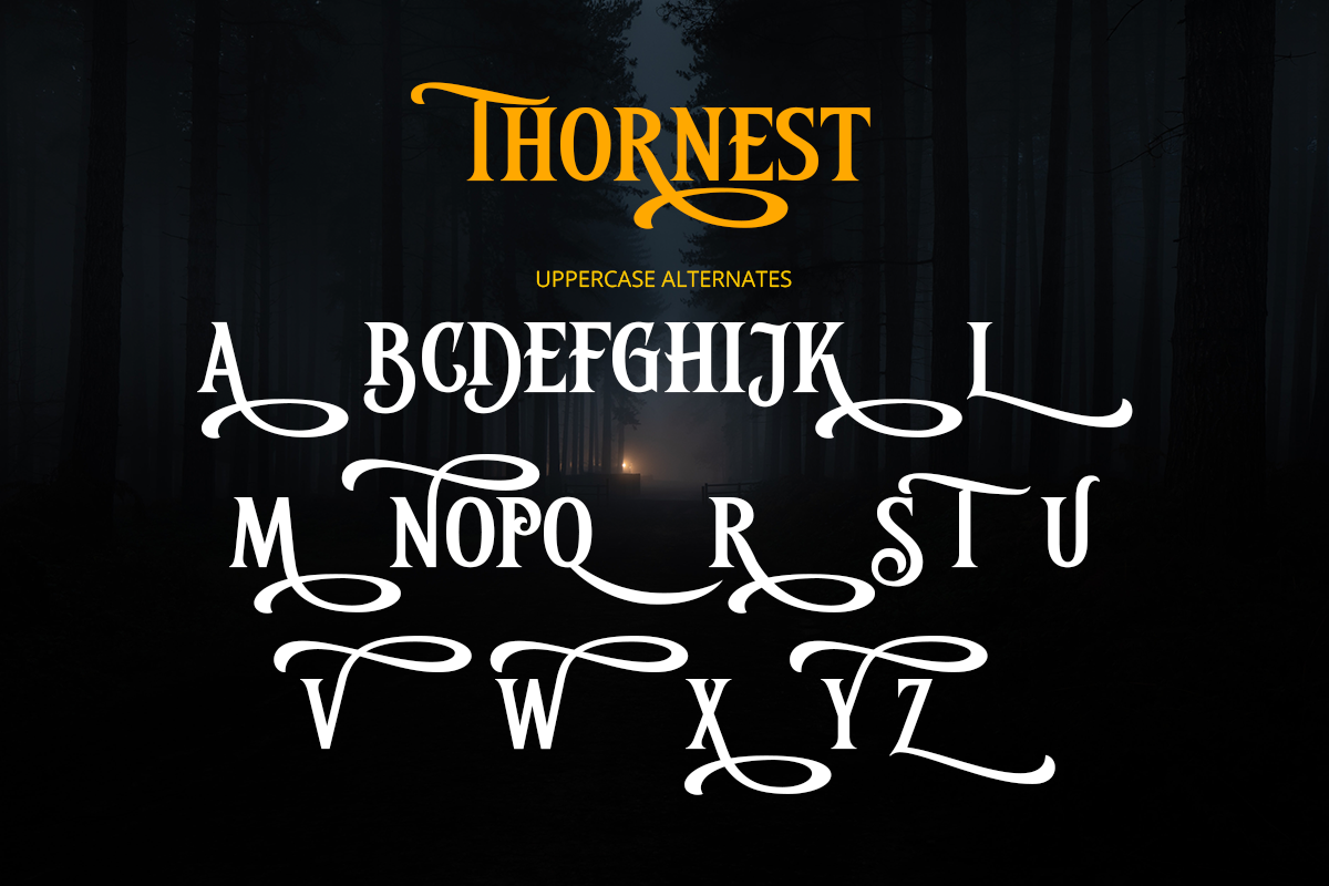 Thornest Classy Serif Font - Image 9