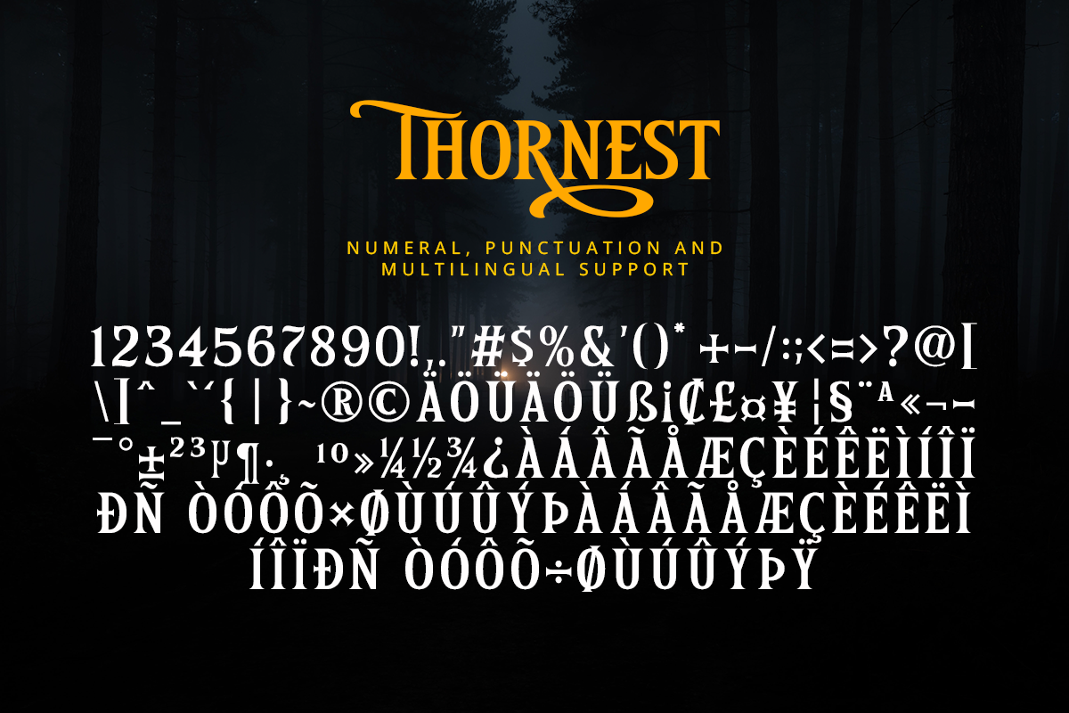 Thornest Classy Serif Font - Image 10