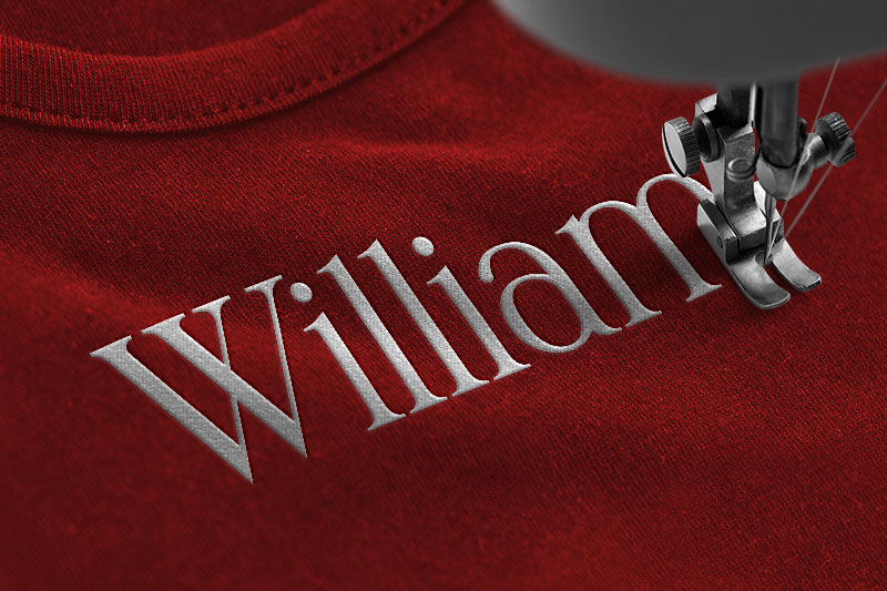 Winchester Embroidery Serif Font