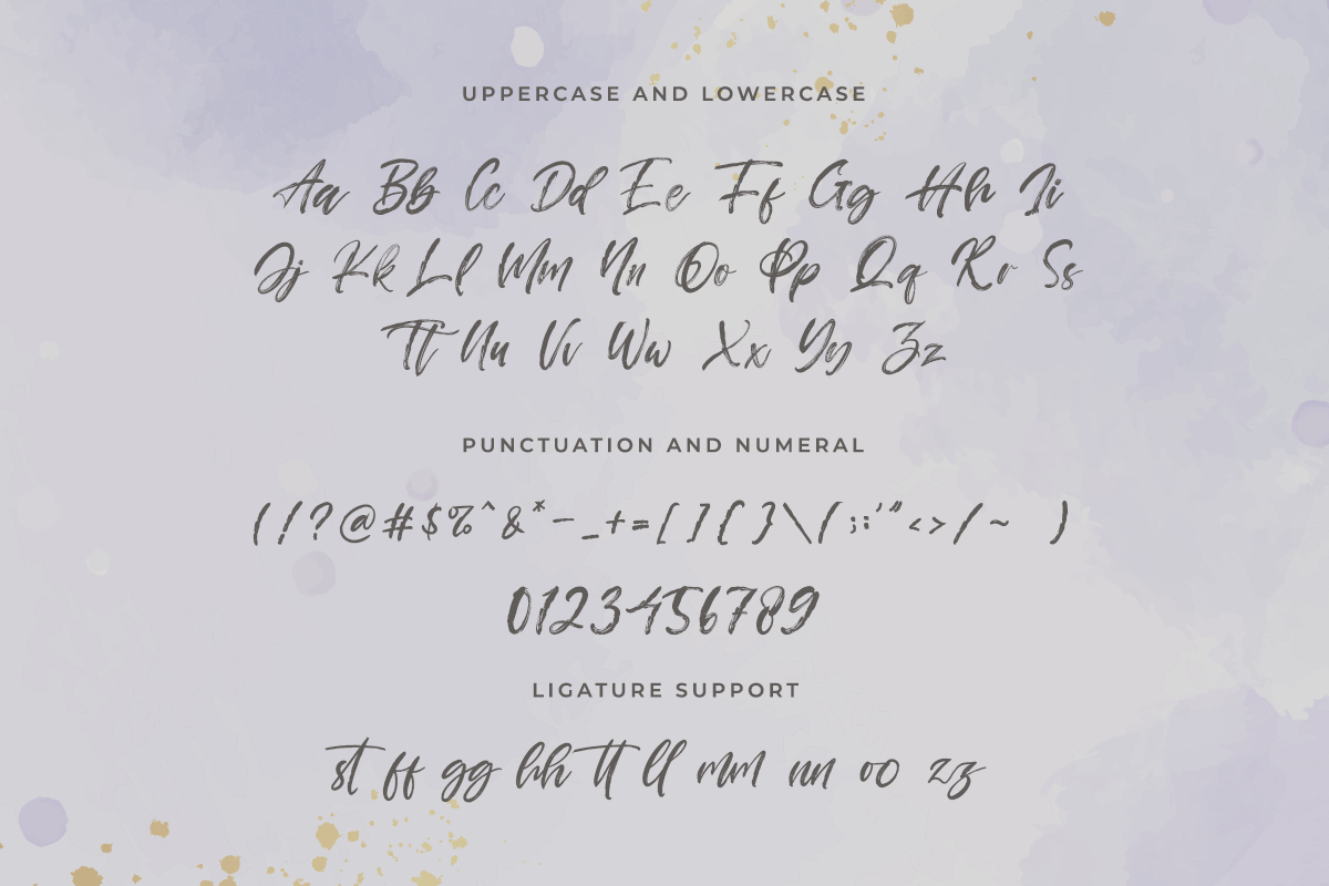 Jacyntta Handwritten Brush Font - Image 6