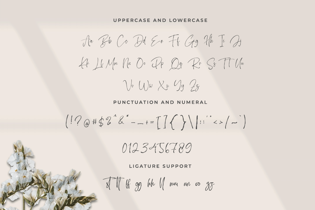 Frazentta Handwritten Brush Font - Image 6