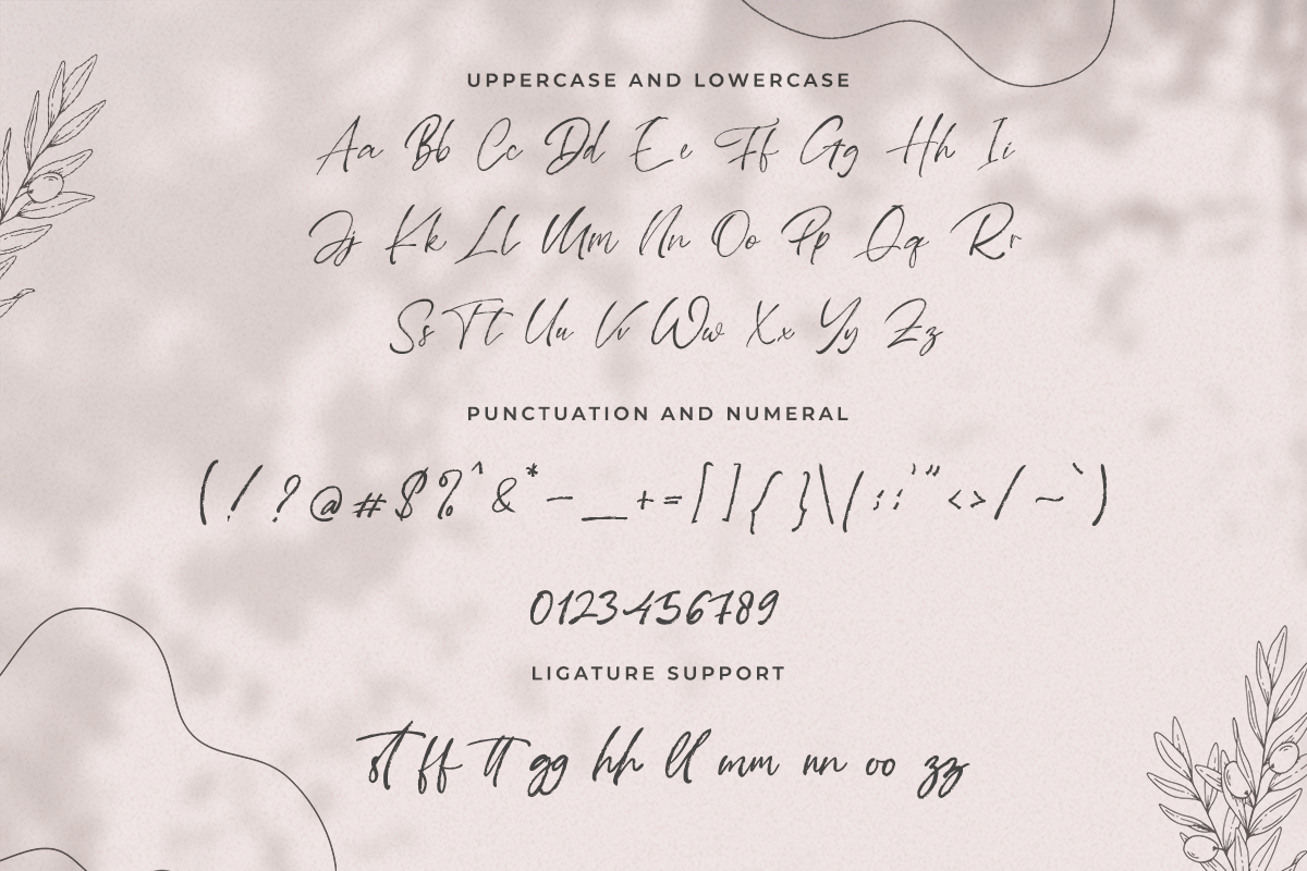 Whistney Handwritten Brush Font - Image 6