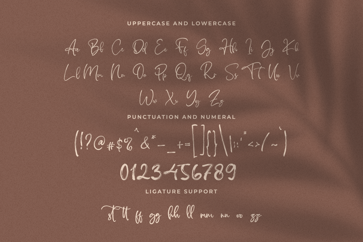 Sandriana Brush Font - Image 7