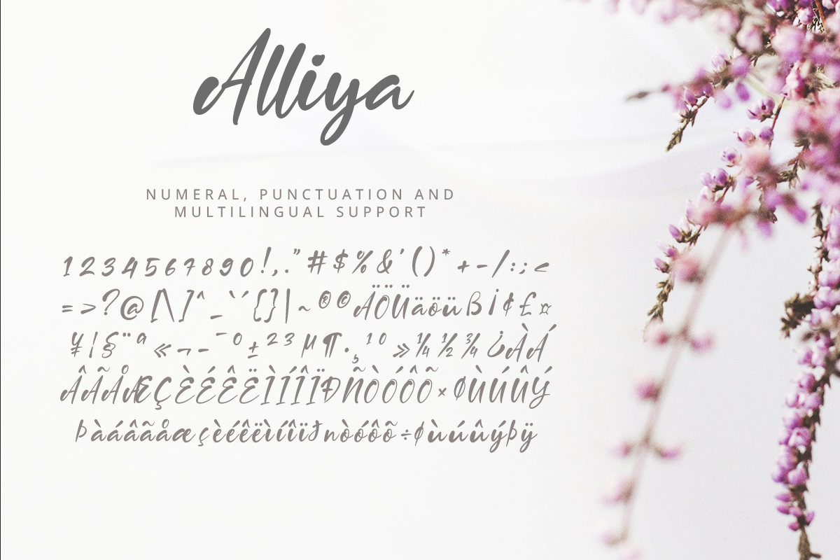 Alliya Script Font