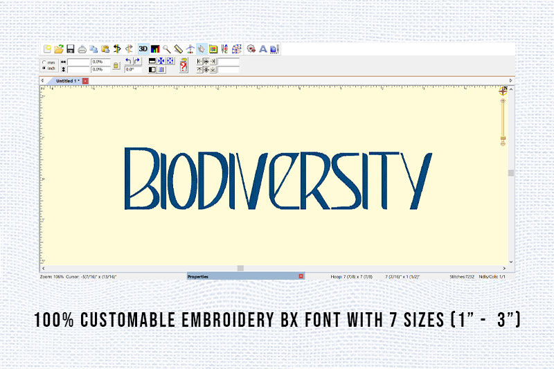 Biodiversity Embroidery Sans Serif Font