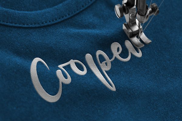 Dylan Velma Embroidery Script Font