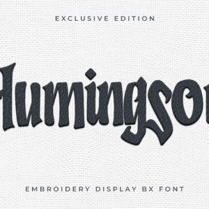 Humingson Embroidery Display Font