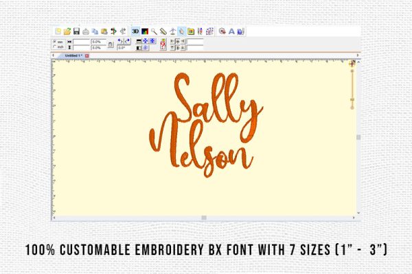Sally Nelson Embroidery Script Font