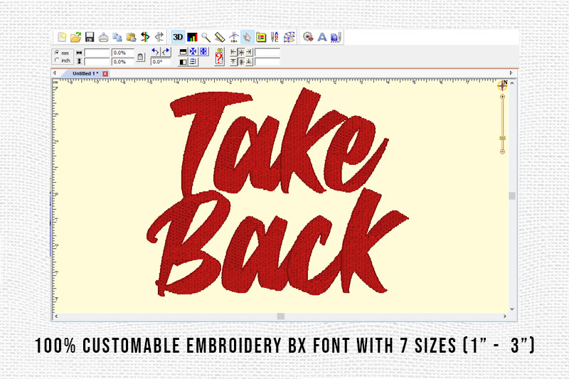 Take Back Embroidery Script Font