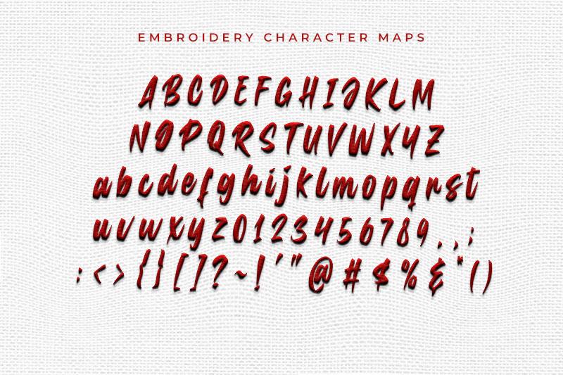 Take Back Embroidery Script Font