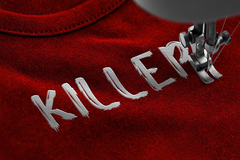 Wildness Embroidery Decorative Font