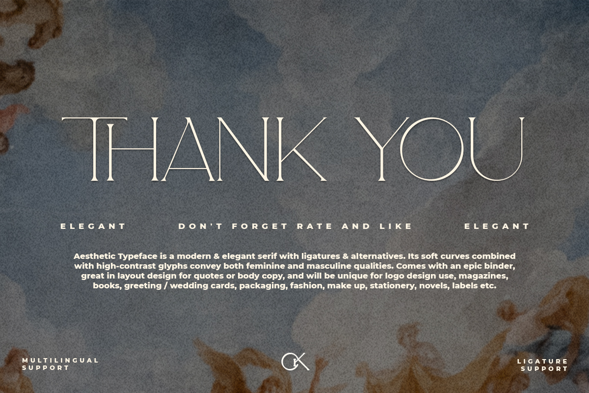 Aesthetic Modern Serif Font