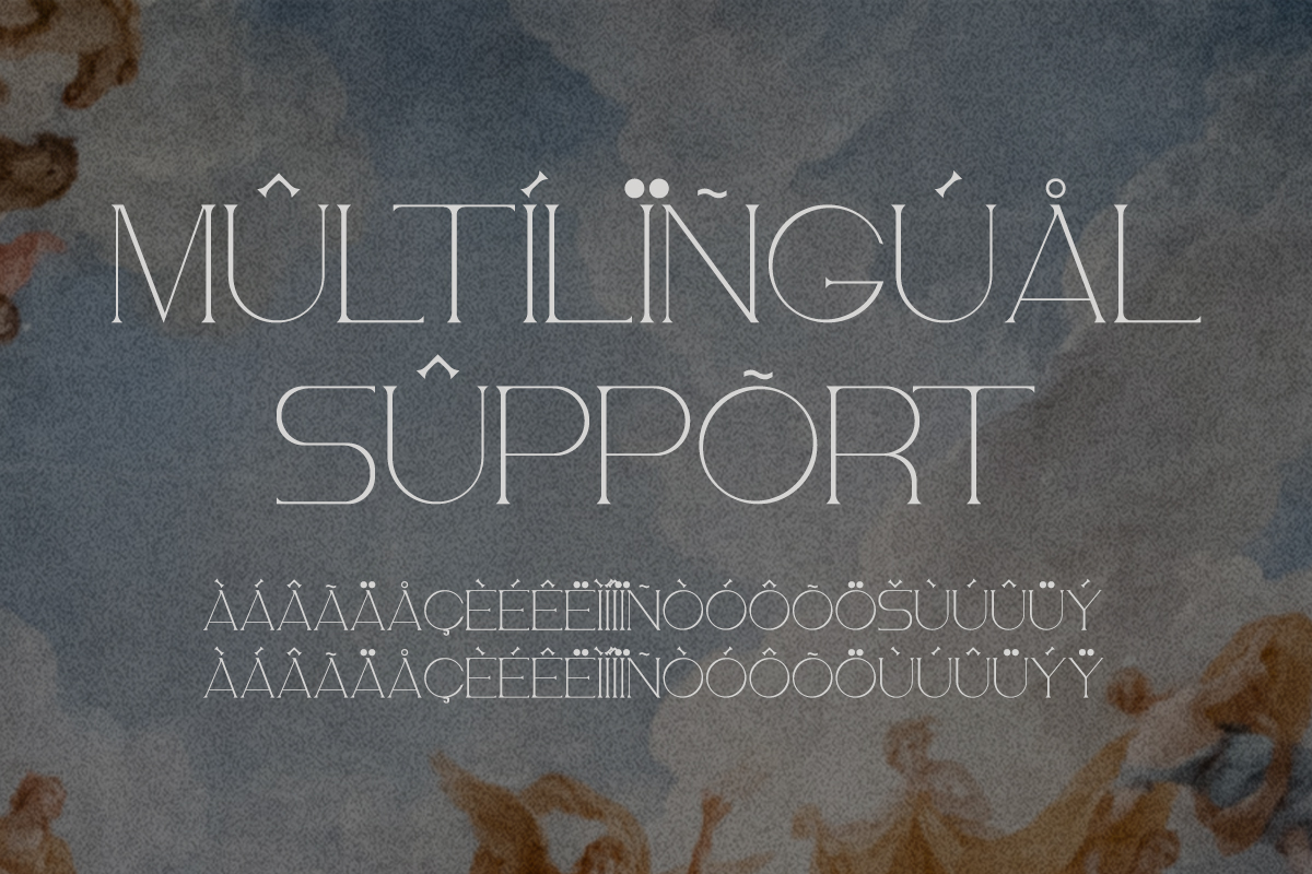 Aesthetic Modern Serif Font