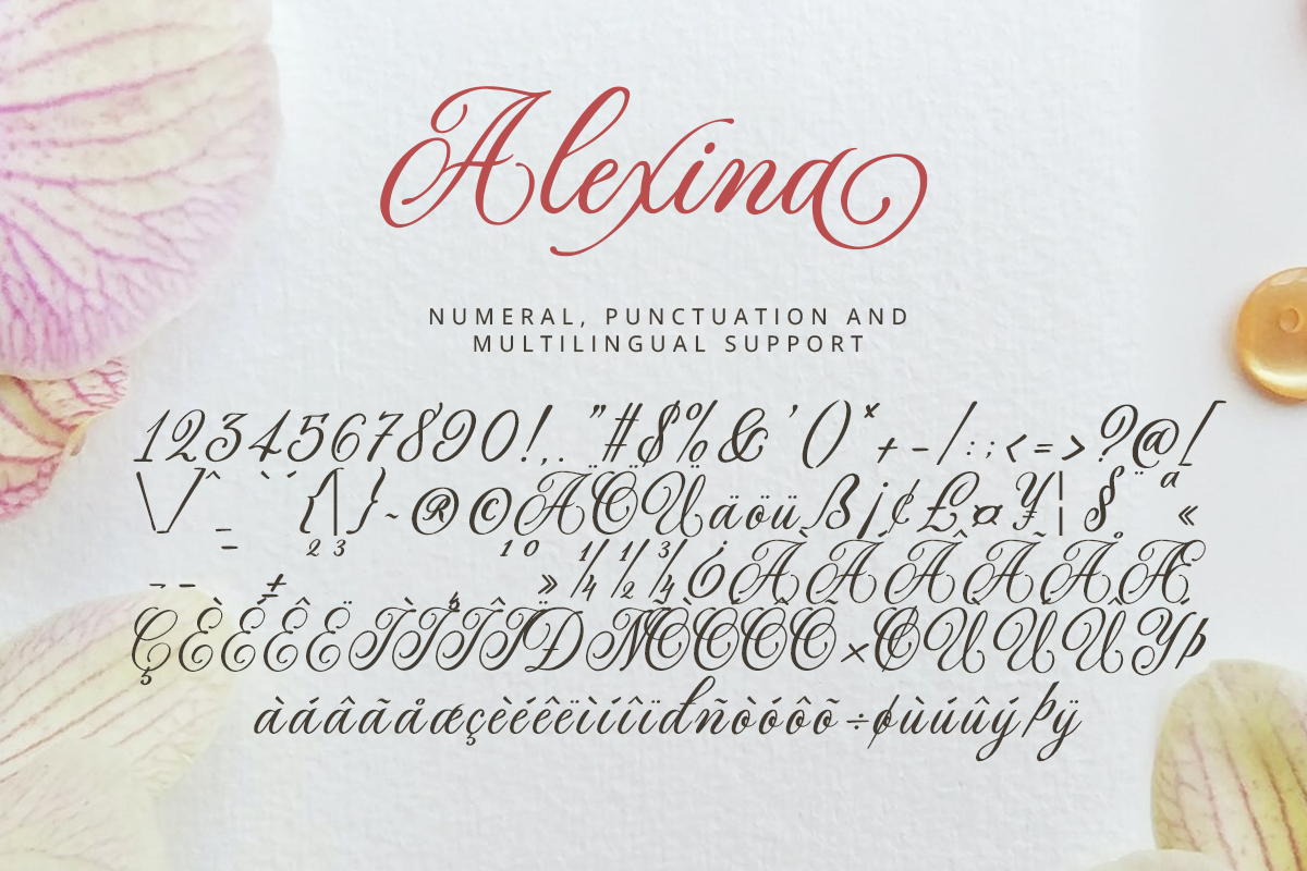 Alexina Classy Script Font