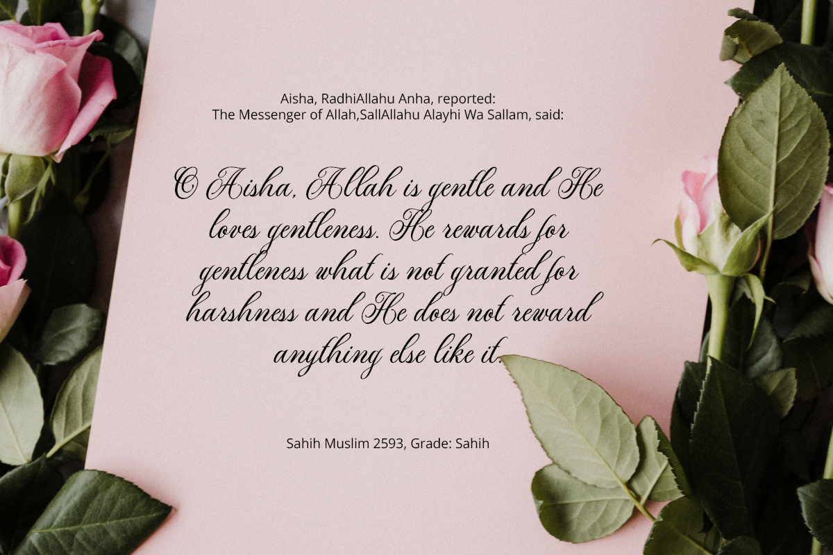 Alexina Classy Script Font