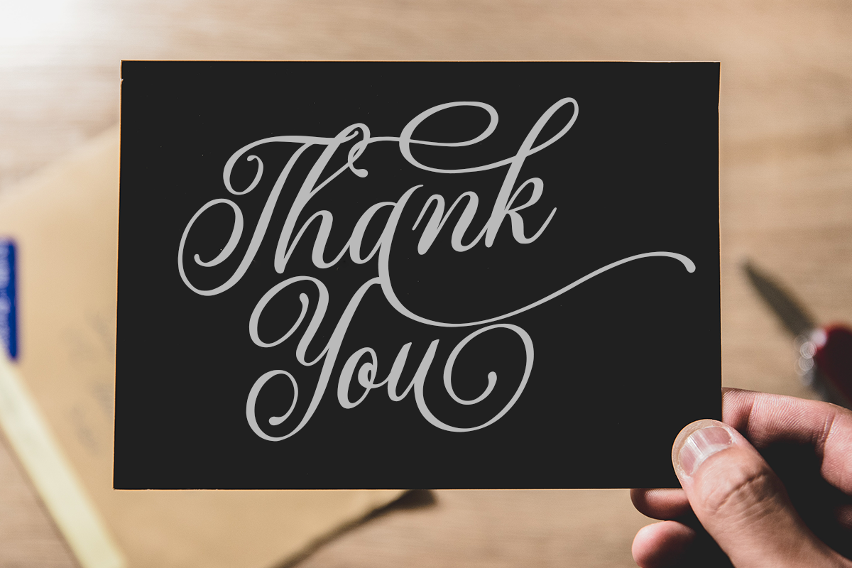 Alexina Classy Script Font