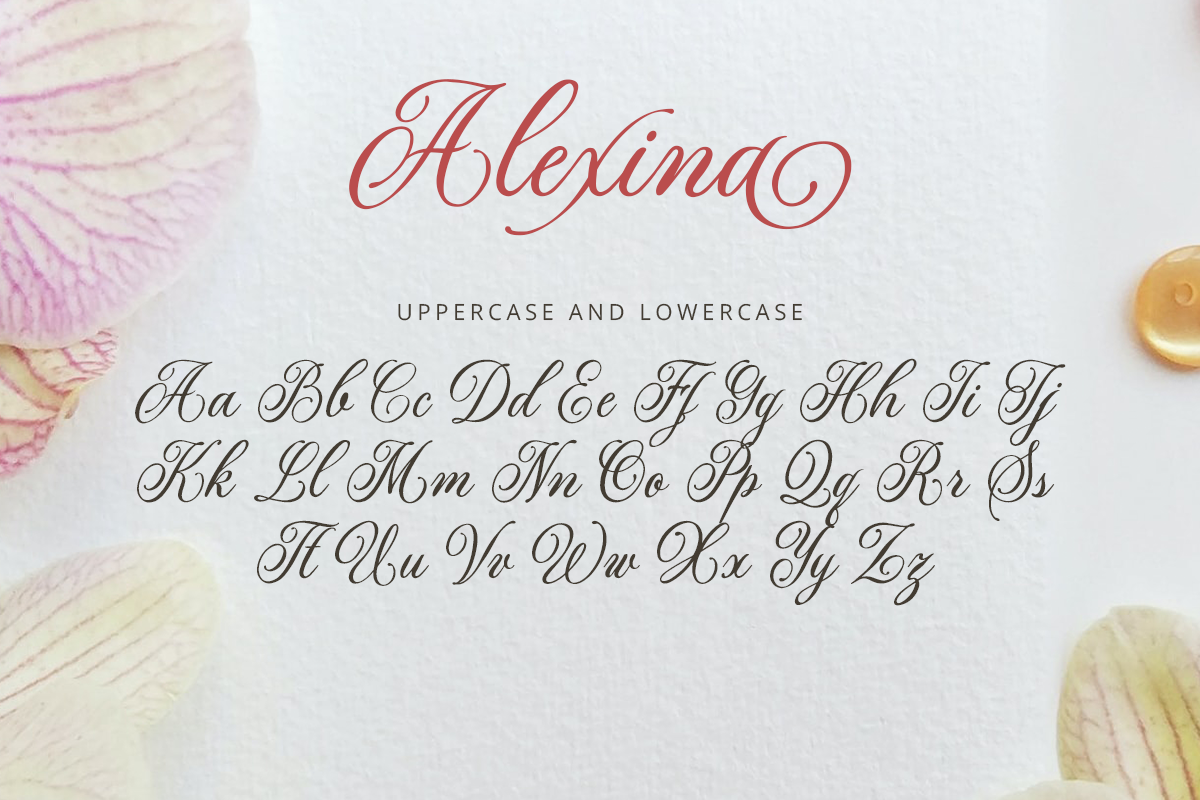 Alexina Classy Script Font