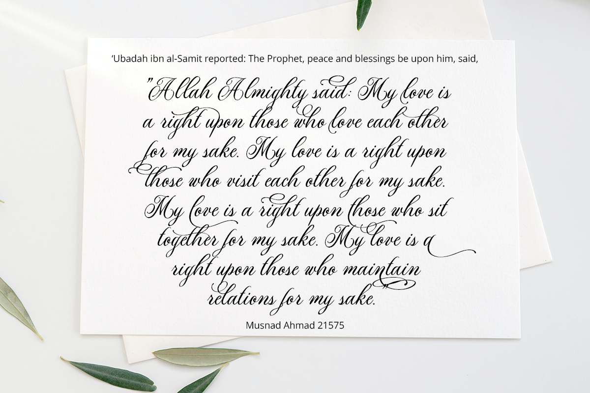 Alexina Classy Script Font