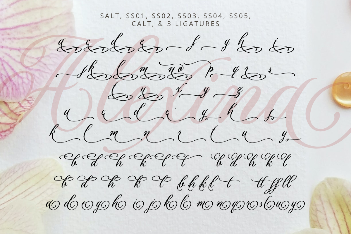 Alexina Classy Script Font