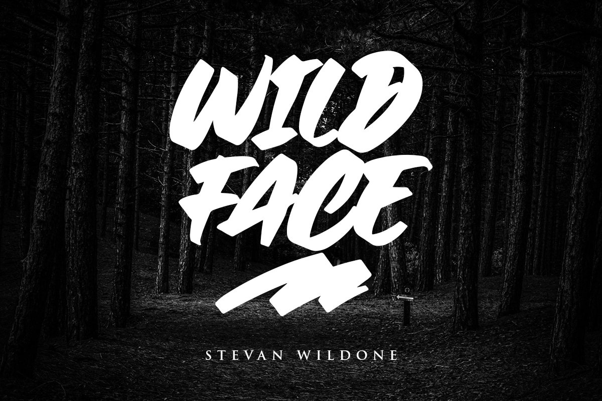 Crazys Modern Display Font