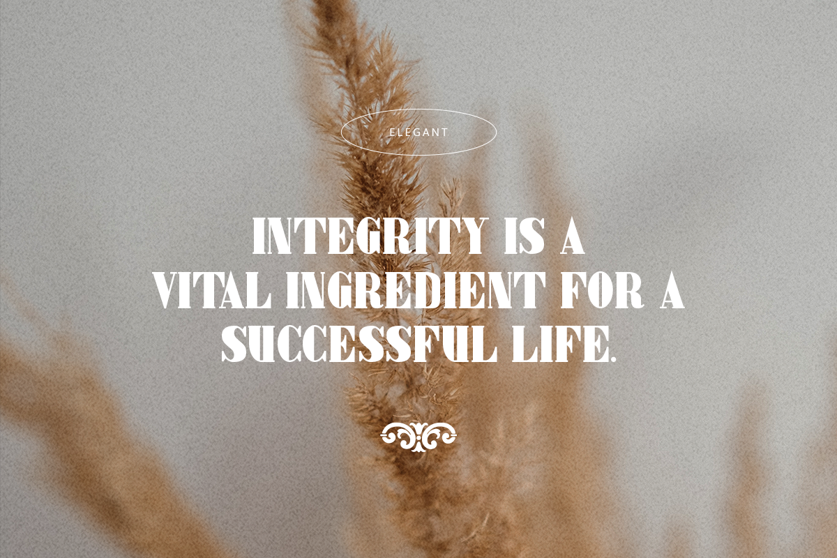 Elegant Classy Serif Font - Image 6