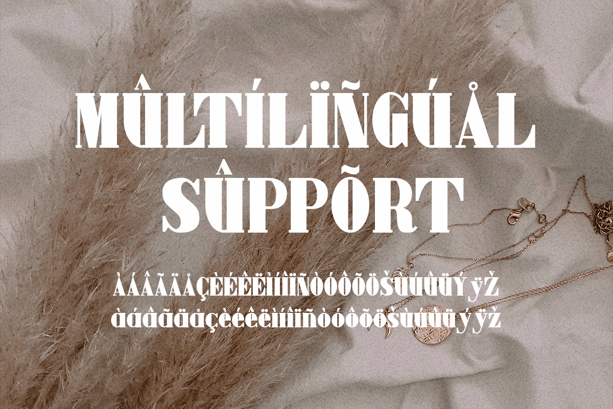 Elegant Classy Serif Font - Image 8