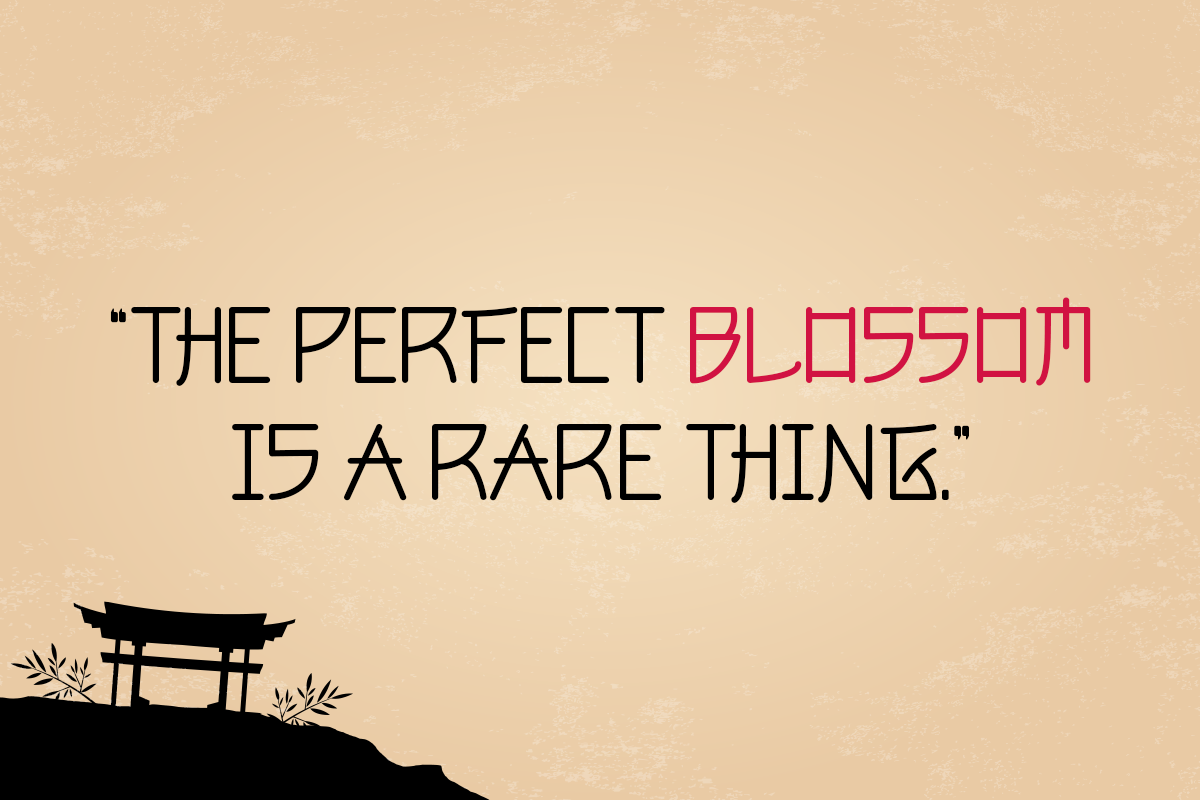 Japanatsuki Modern Japanese Font - Image 5