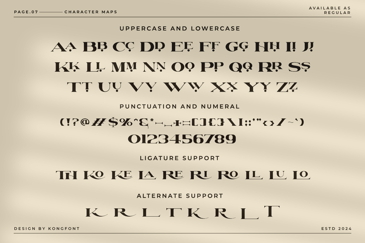 Neith Classy Serif Font - Image 7