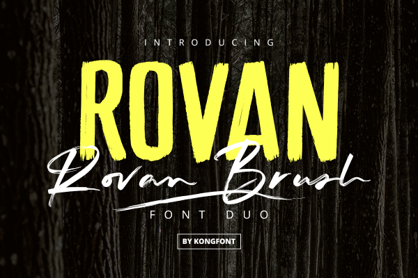 Rovan Modern Duo Font