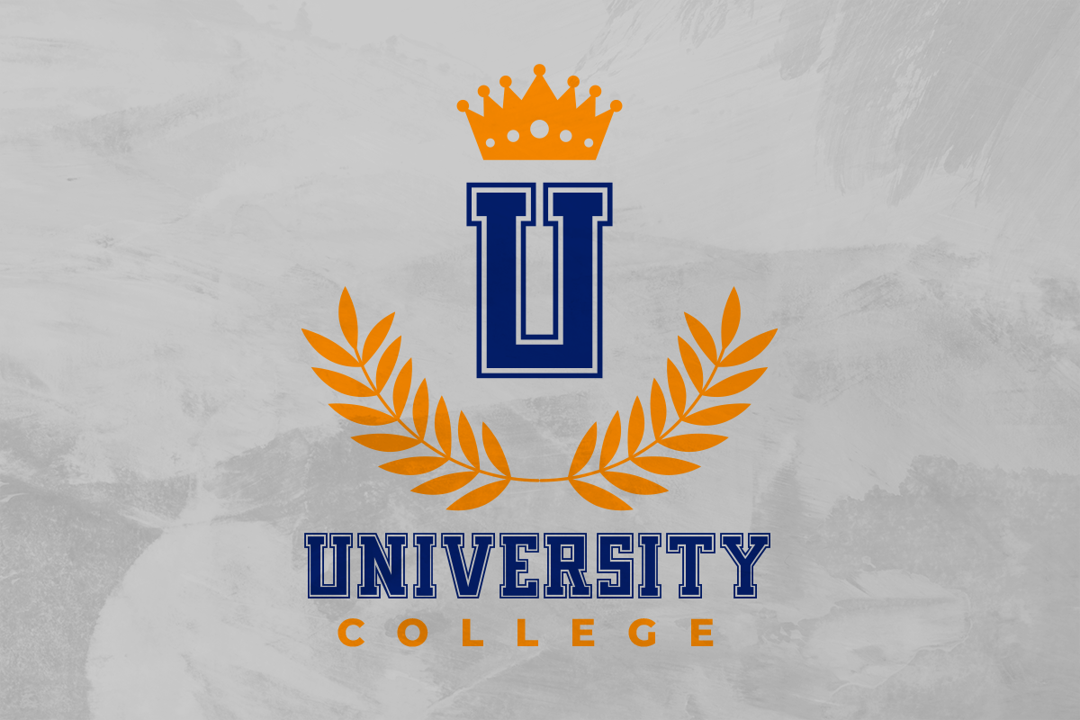 Volters Modern Display Font - Image 6