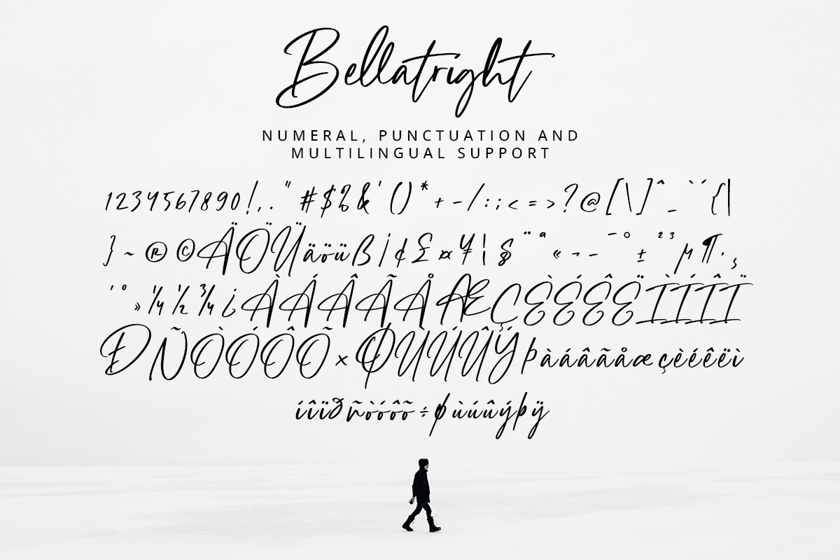Bellatright Modern Script Font - Image 10