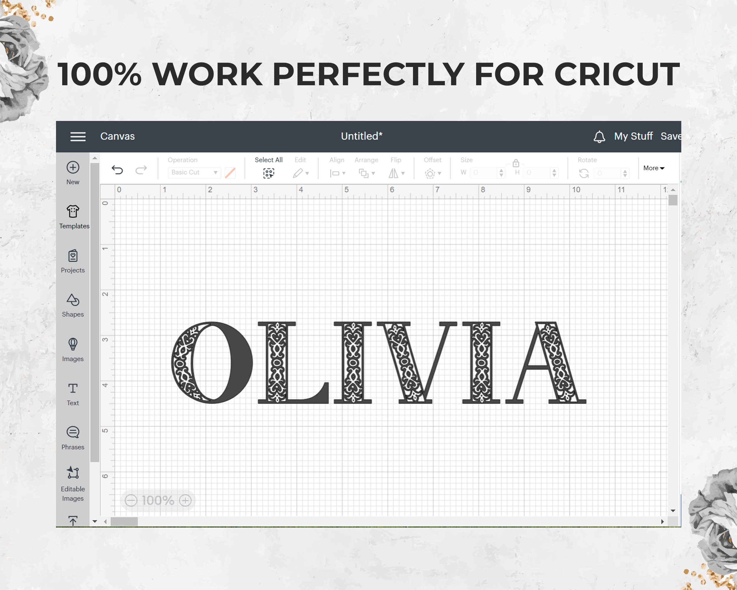 Modern Decorative Olivia Font - Image 11