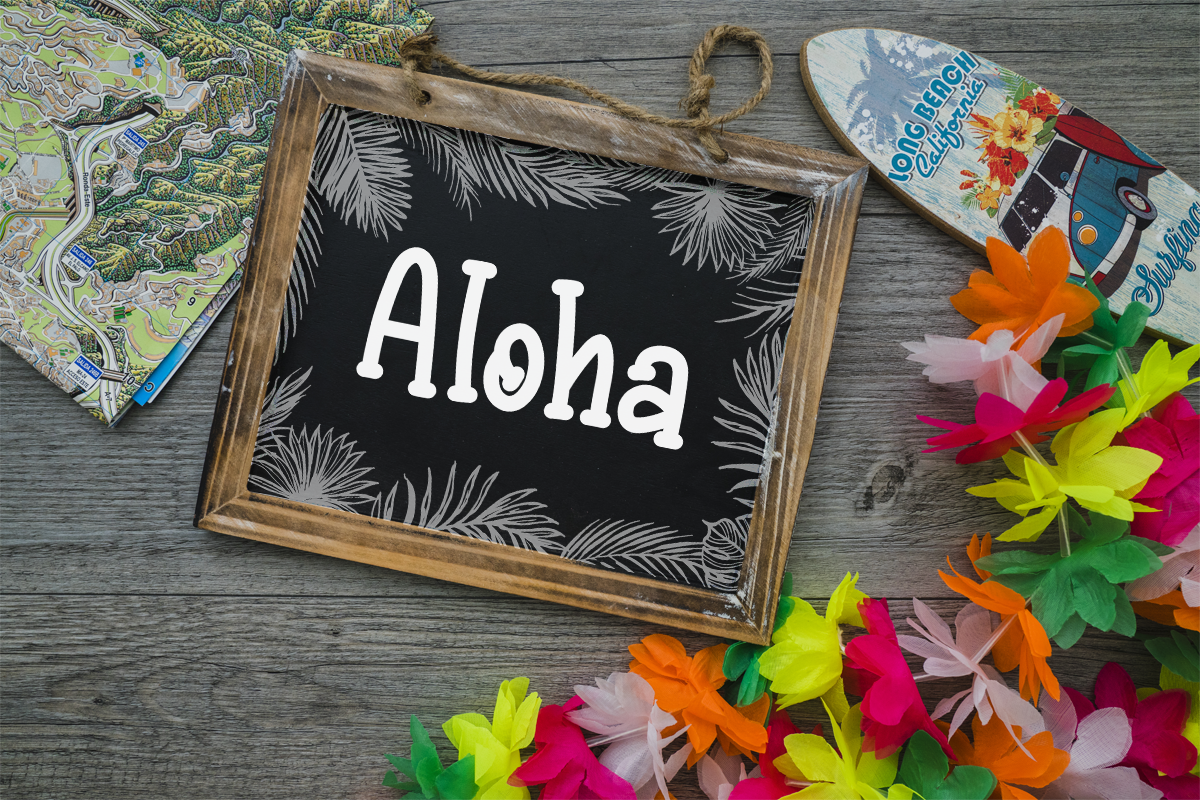 Tropical Summer Modern Summer Font - Image 4