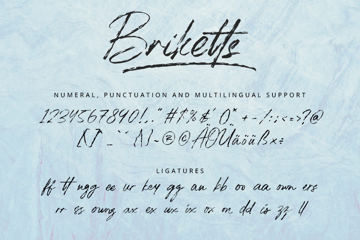Briketts Script Brush Font - Image 10