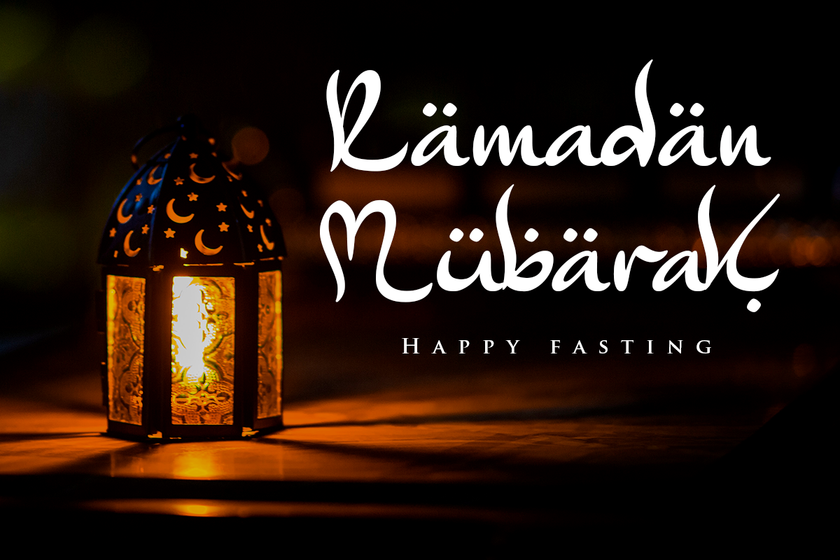 Elmirad Modern Arabic Font - Image 7