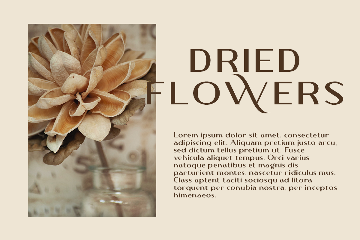 Alozera Modern Sans Serif Font - Image 6